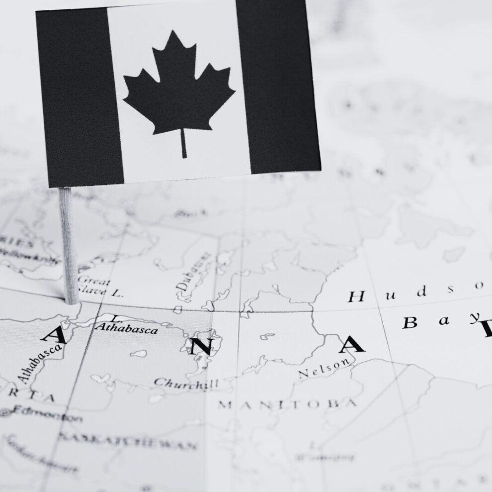 State of Privacy Survey