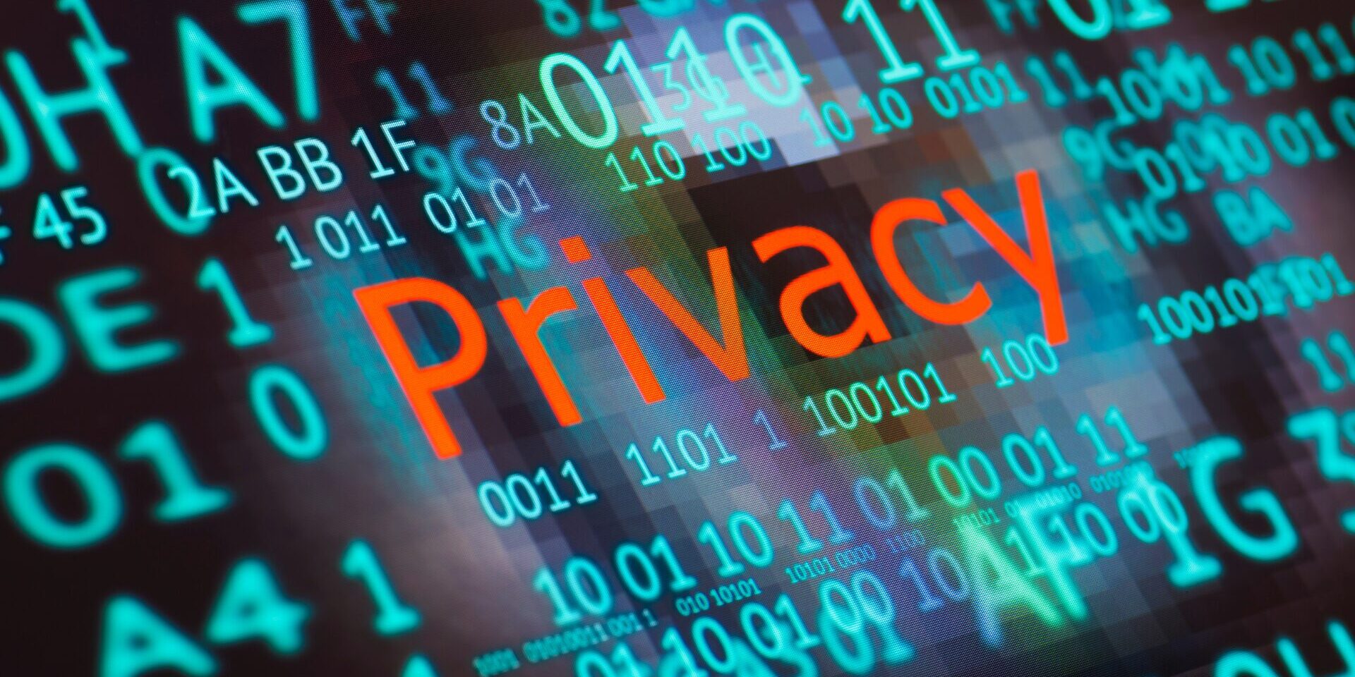 Privacy Impact Assessment concept with digital code and the word Privacy highlighted